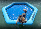 Sun In Comfort Inflatable Dog Pool Float Sun In Comfort.com